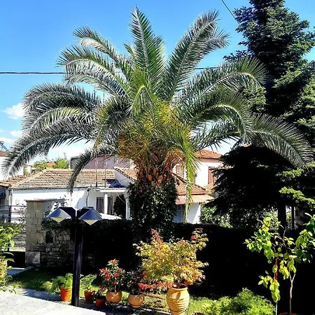 παραδοσιακή κατοικία-παλιά πόλη Βίλα Τρίκαλα