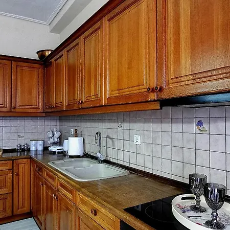 παραδοσιακή κατοικία-παλιά πόλη Villa Trikala (Thessaly)