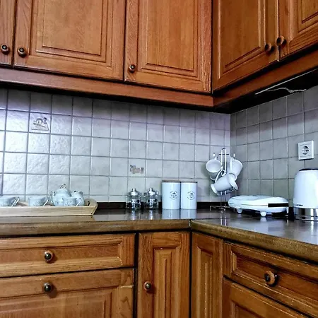 παραδοσιακή κατοικία-παλιά πόλη Βίλα Τρίκαλα