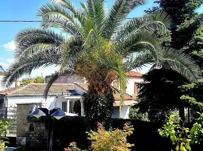 παραδοσιακή κατοικία-παλιά πόλη Villa Trikala (Thessaly)