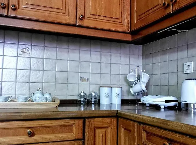 παραδοσιακή κατοικία-παλιά πόλη Villa Trikala (Thessaly)